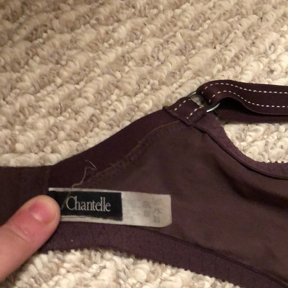 Beautiful Brown Chantelle Bra! - Picture 6 of 7